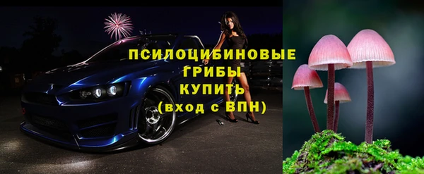 прущий лед Вязьма