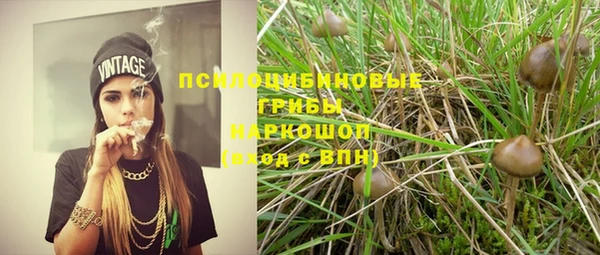 прущие крисы Вяземский
