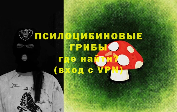 прущие крисы Вяземский